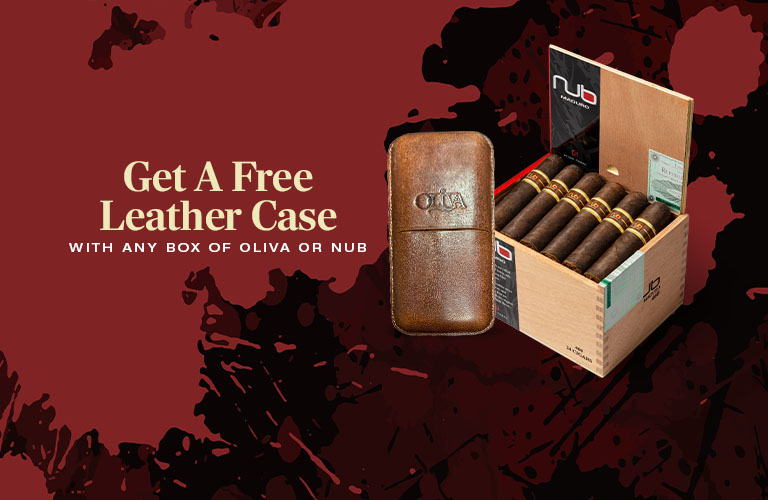 Free Leather Case