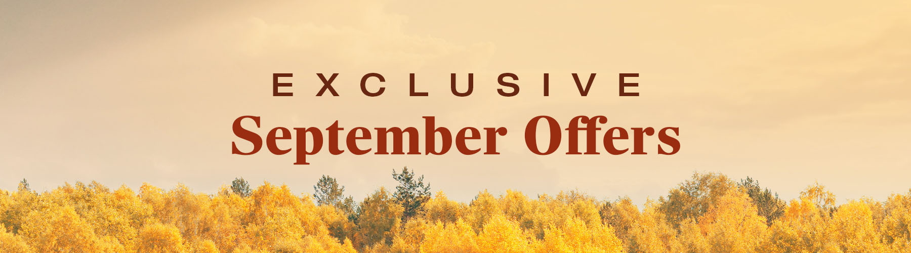 Exclusive September Offers