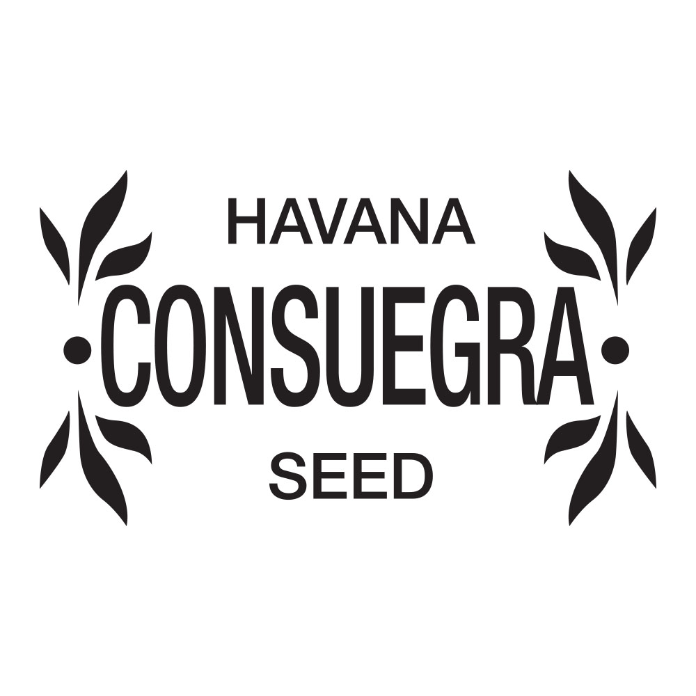 Consuegra Cigars